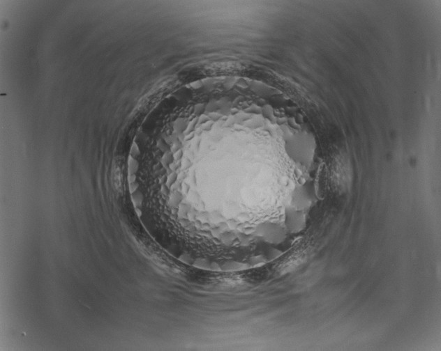 X0000077990715200611031420