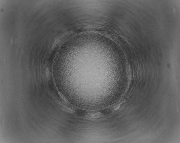 X0000077990716200611031420