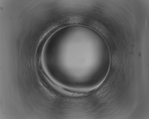 X0000077990722200611031419