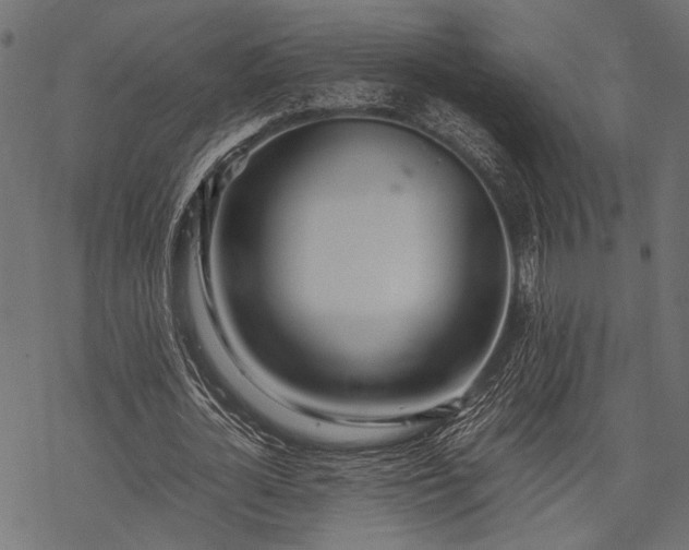 X0000077990724200611031419