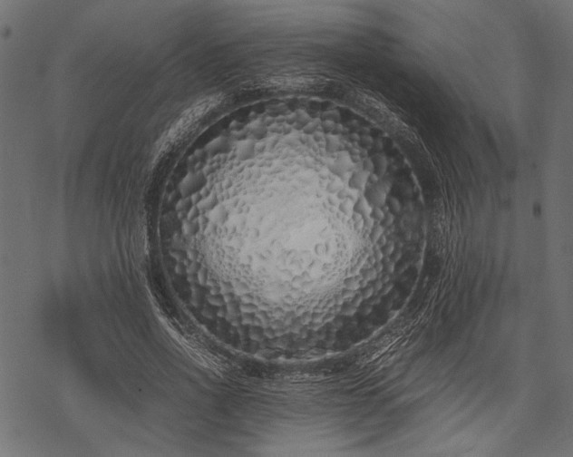 X0000077990734200611031420