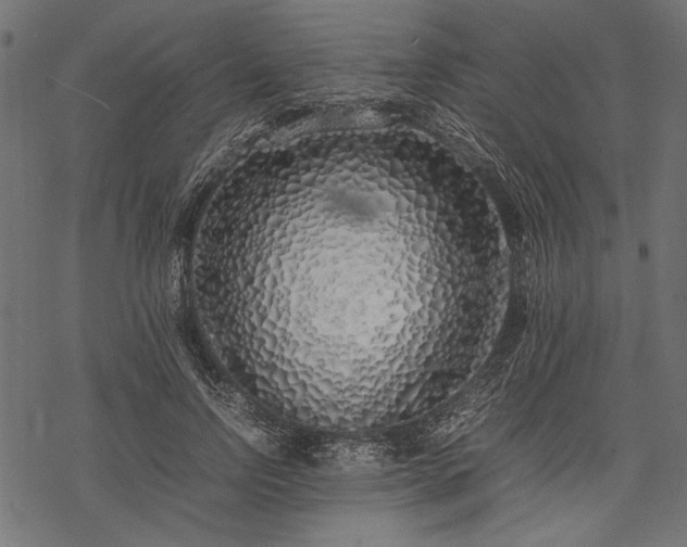 X0000077990742200611031420