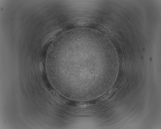 X0000077990746200611031420