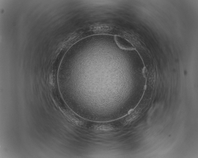 X0000077990755200611031420