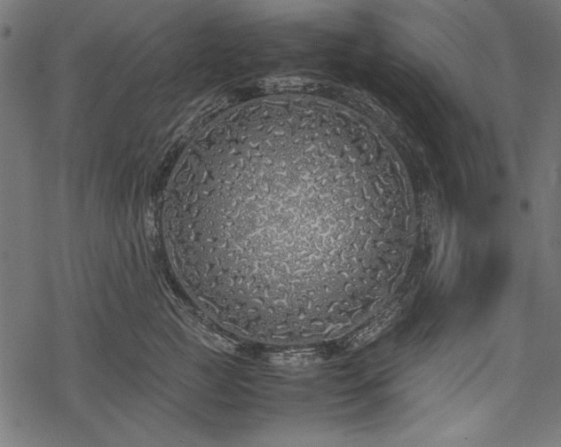 X0000077990761200611031420