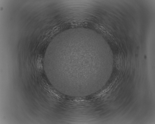 X0000077990770200611031419
