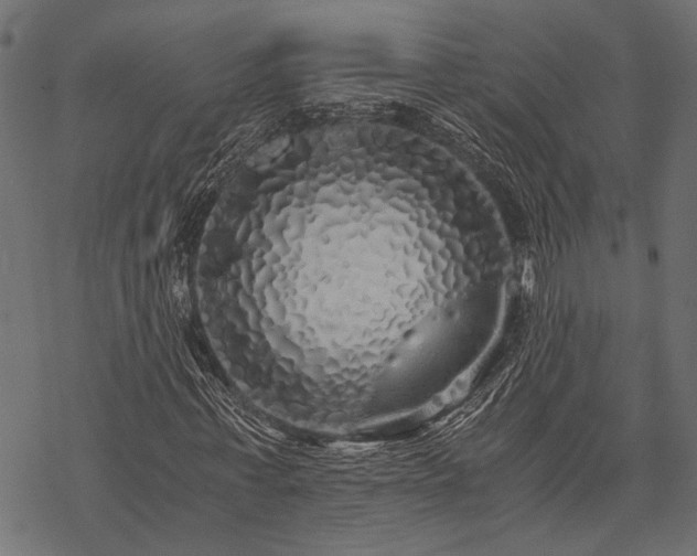 X0000077990771200611031419