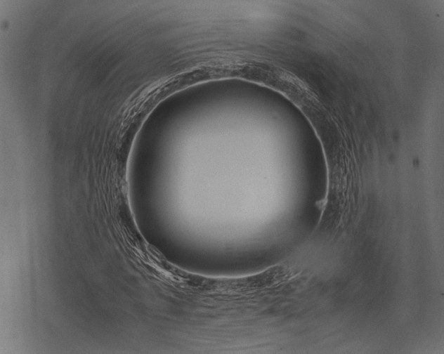 X0000077990773200611031419