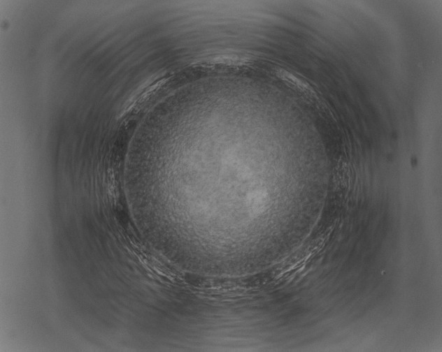 X0000077990774200611031419