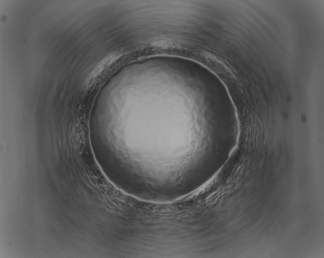 X0000077990776200611031419