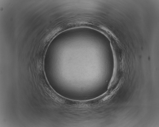 X0000077990785200611031419