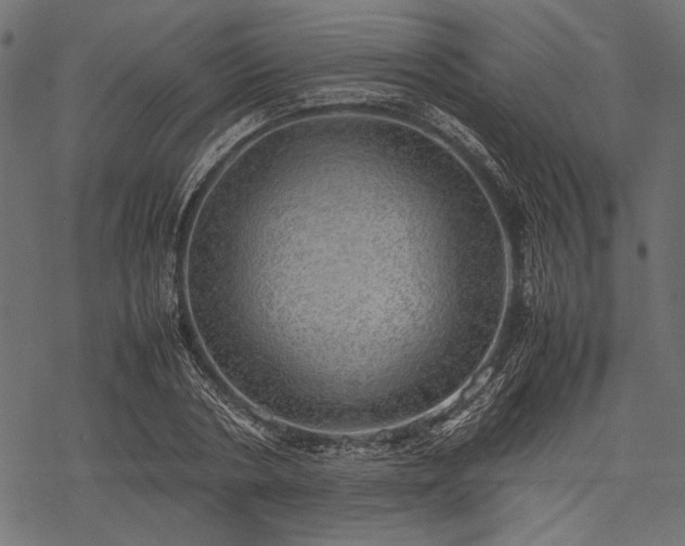 X0000077990786200611031419