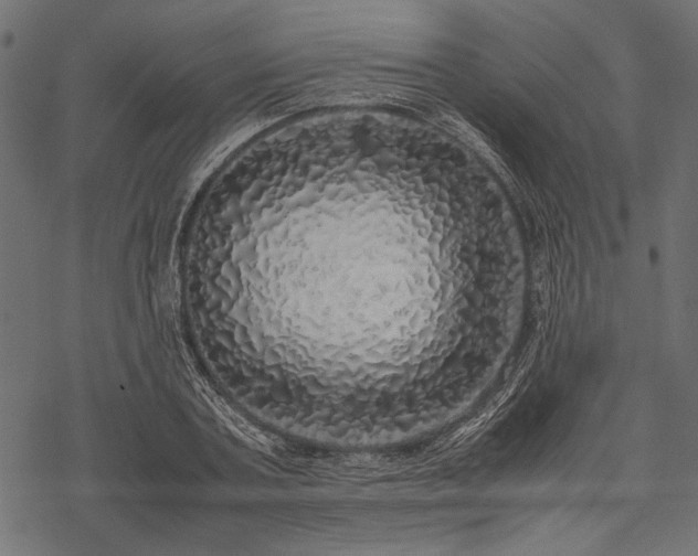 X0000077990787200611031419