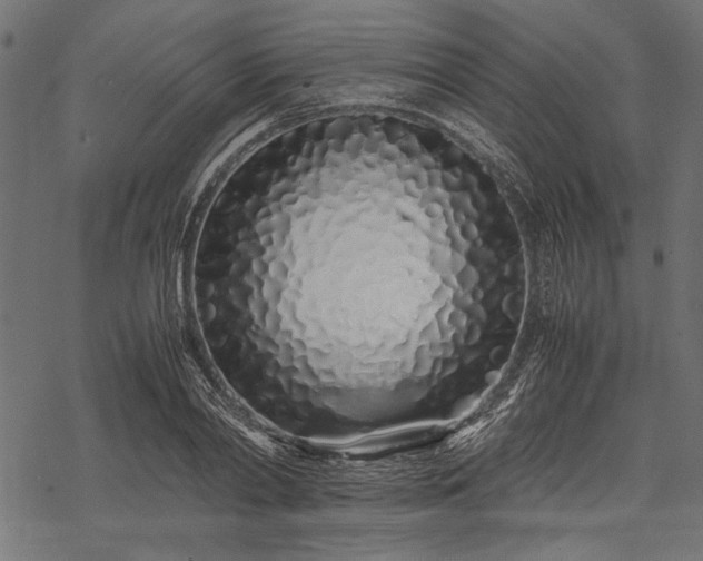 X0000077990790200611031419