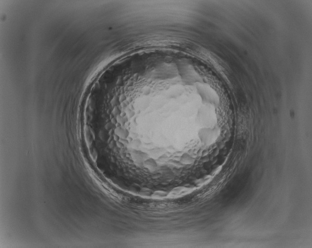 X0000077990795200611031419
