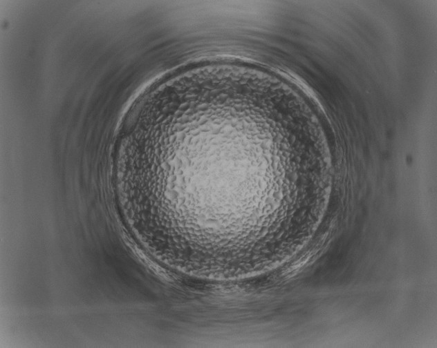 X0000077990799200611031419