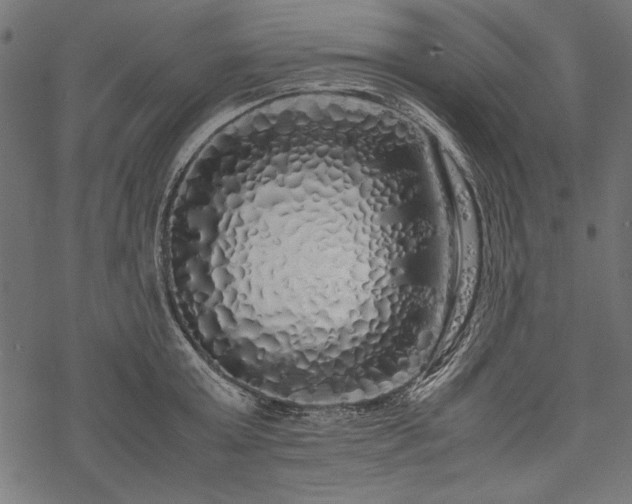 X0000077990803200611031419