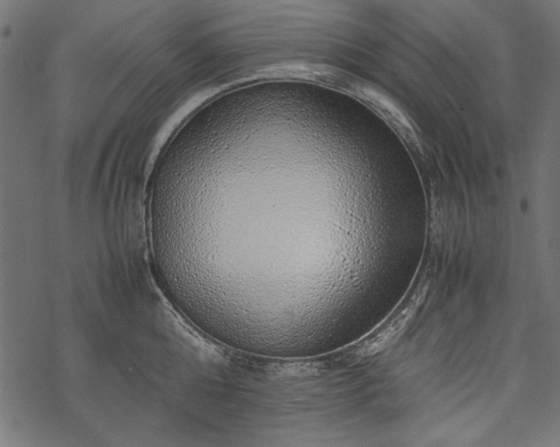 X0000077990808200611031419