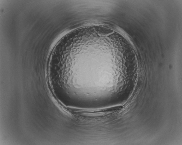 X0000077990811200611031419