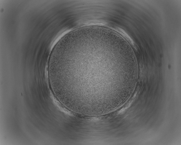 X0000077990814200611031419