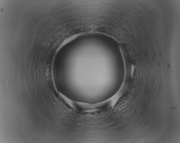 X0000077990818200611031418