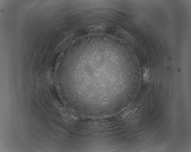 X0000077990819200611031418