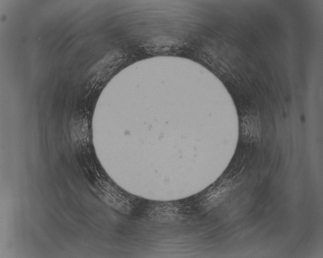 X0000077990820200611031418