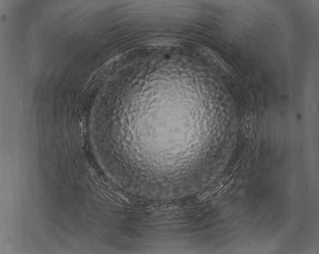 X0000077990821200611031418