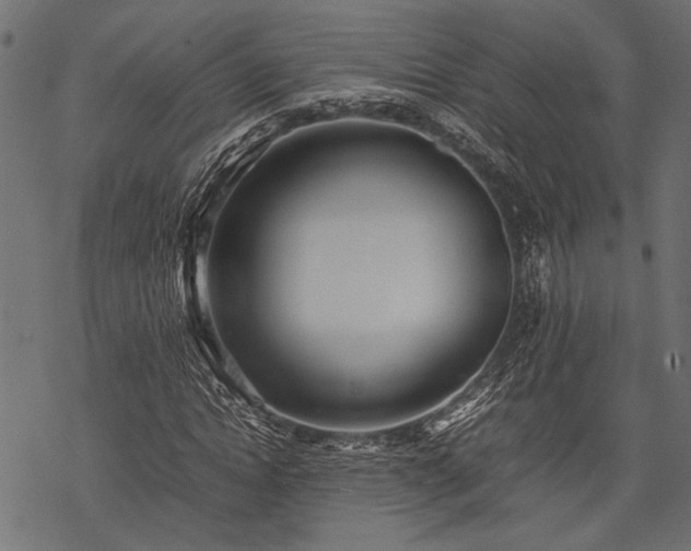 X0000077990822200611031418