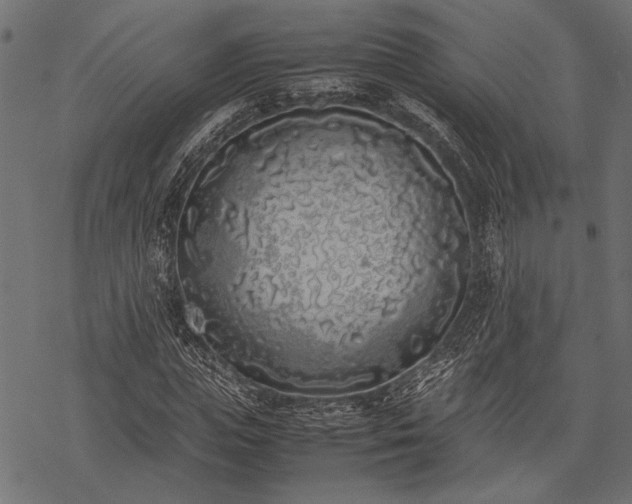 X0000077990823200611031418
