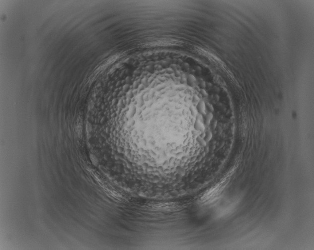 X0000077990833200611031418
