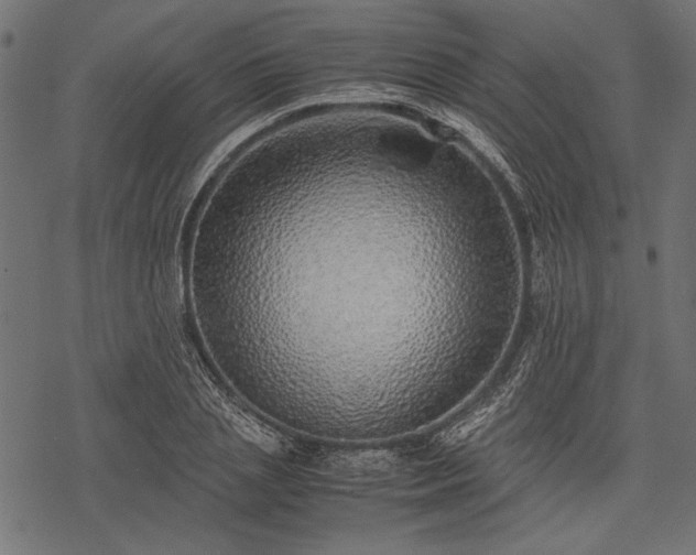 X0000077990837200611031418