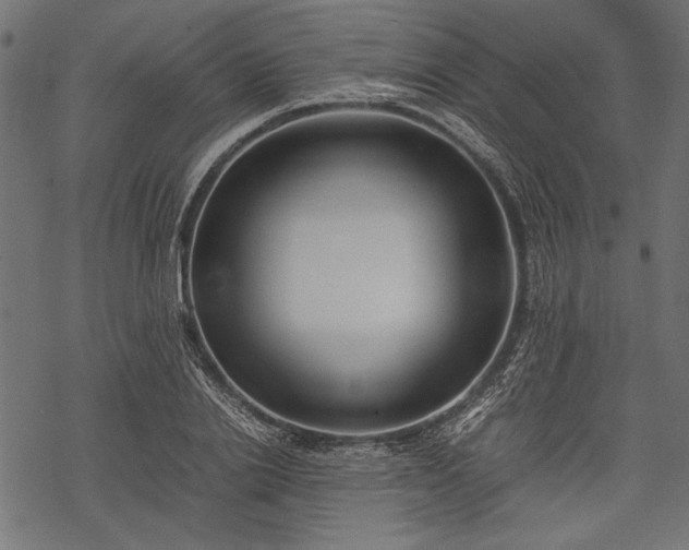 X0000077990838200611031418