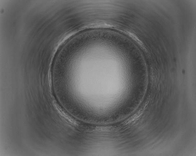 X0000077990840200611031418