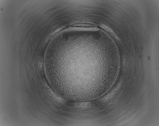 X0000077990841200611031418