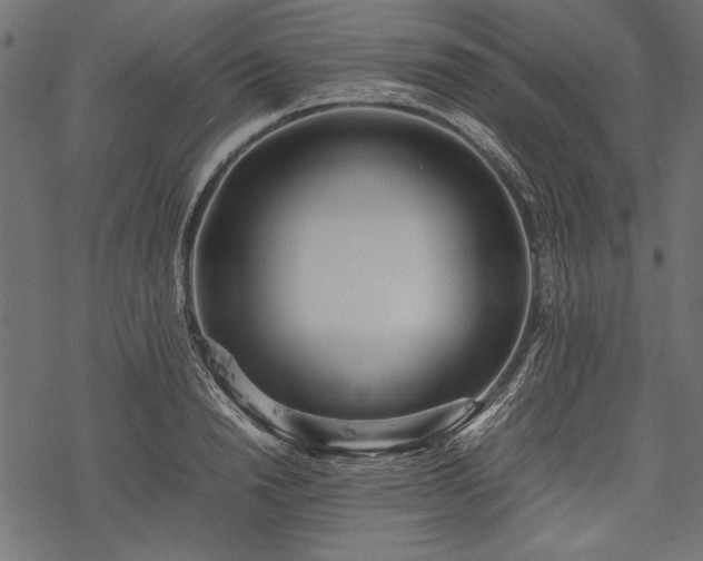 X0000077990846200611031418