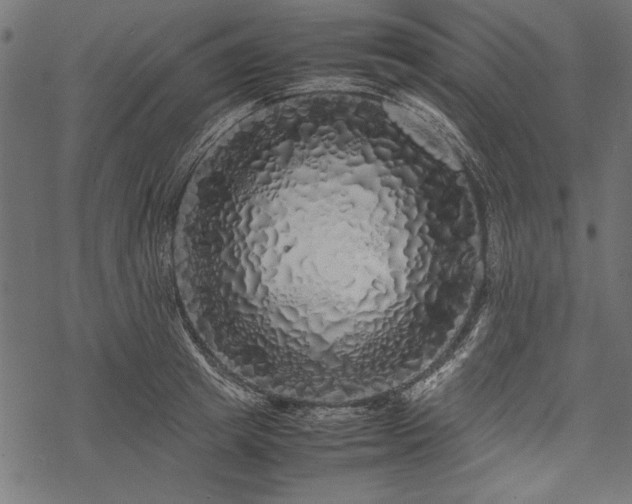 X0000077990849200611031418