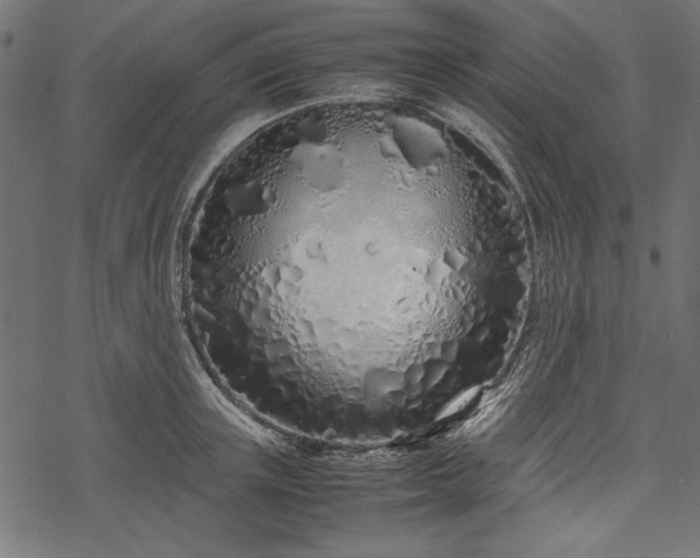 X0000077990851200611031418