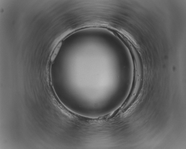 X0000077990854200611031418