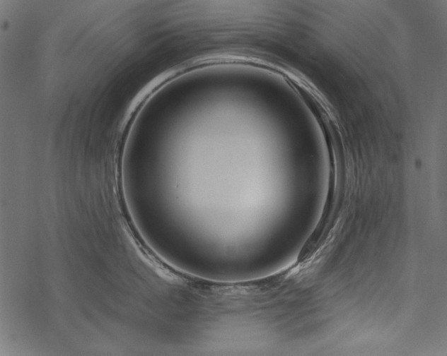 X0000077990862200611031419