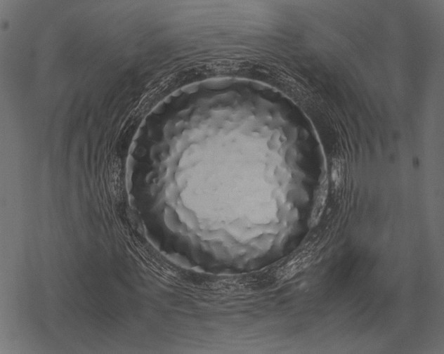 X0000077990867200611031418