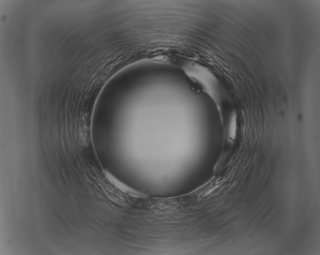 X0000077990868200611031418