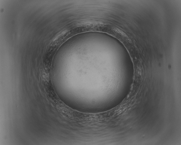 X0000077990869200611031418