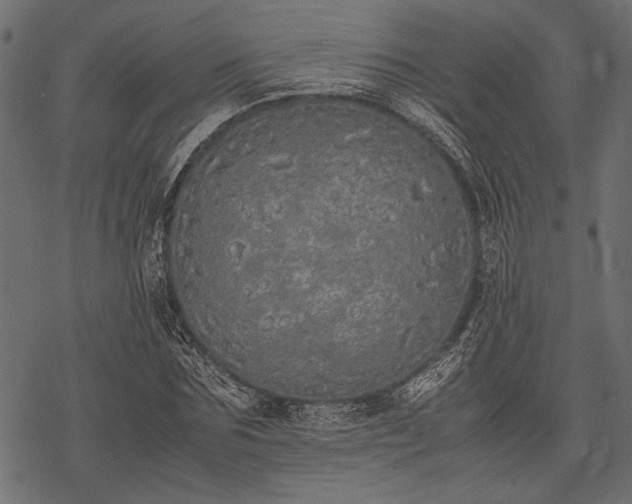 X0000077990875200611031418