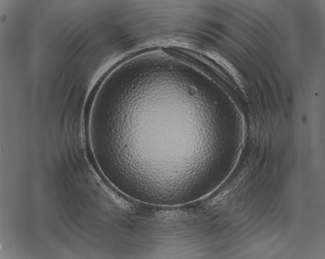 X0000077990894200611031417