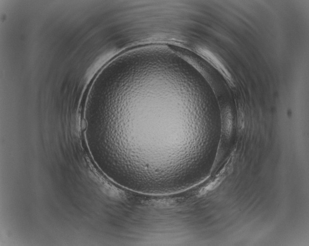 X0000077990900200611031417