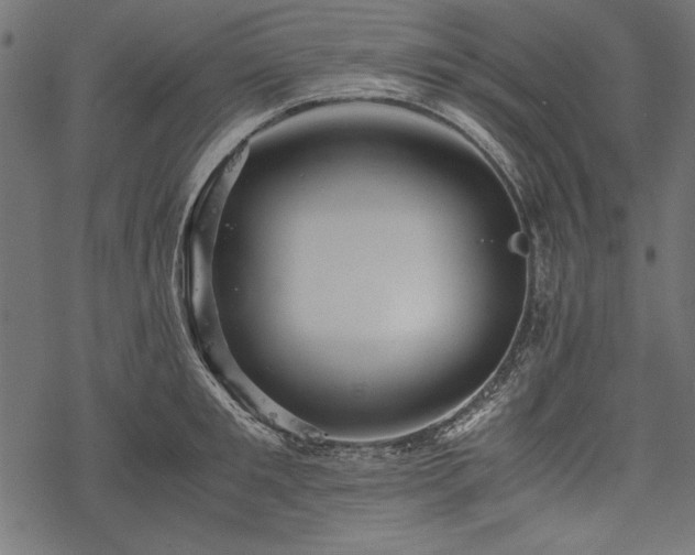 X0000077990901200611031417