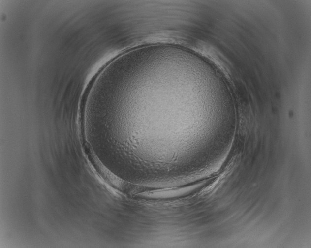 X0000077990902200611031417