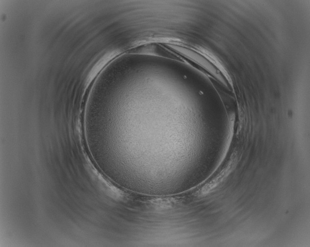 X0000077990906200611031417