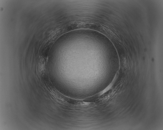 X0000077990914200611031416